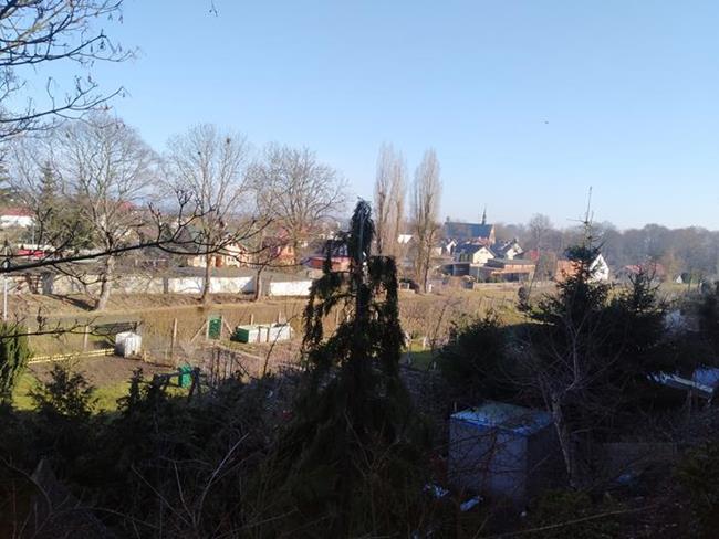 Zdjęcie 50