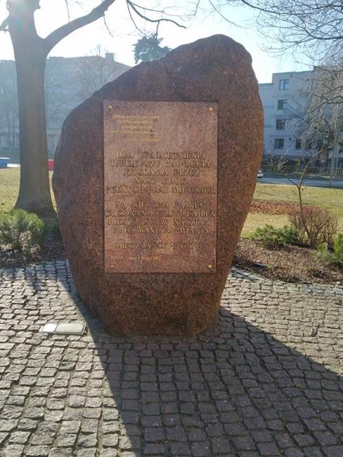 Zdjęcie 53