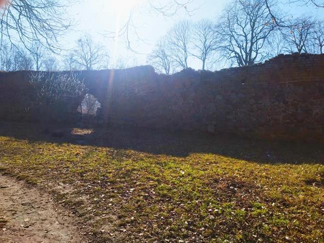 Zdjęcie 62