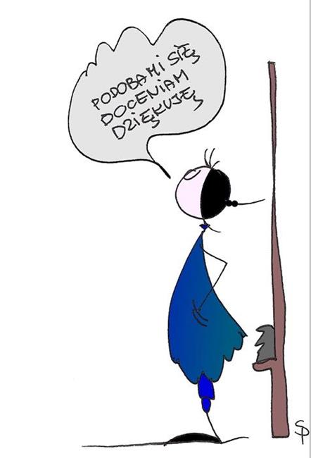 Zdjęcie 7