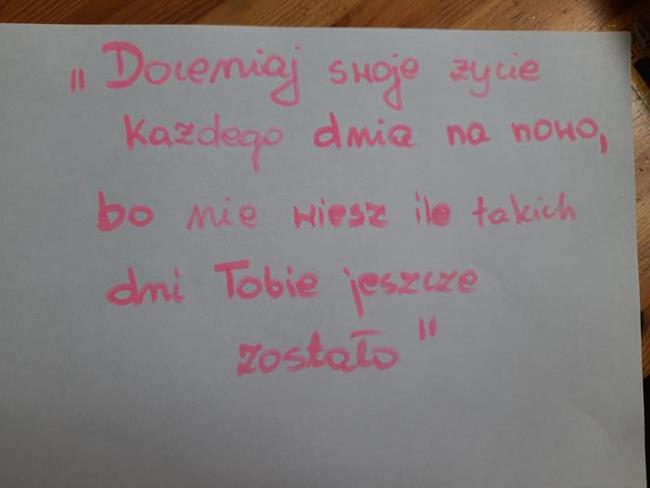 Zdjęcie 16