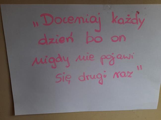 Zdjęcie 18