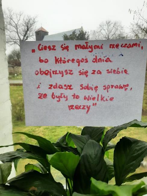 Zdjęcie 19