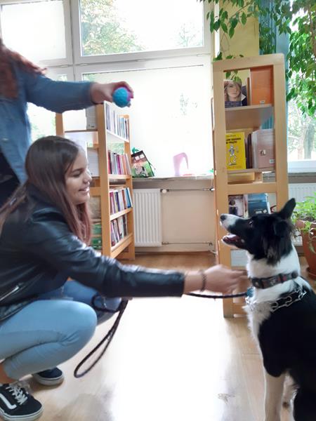 Zdjęcie 4