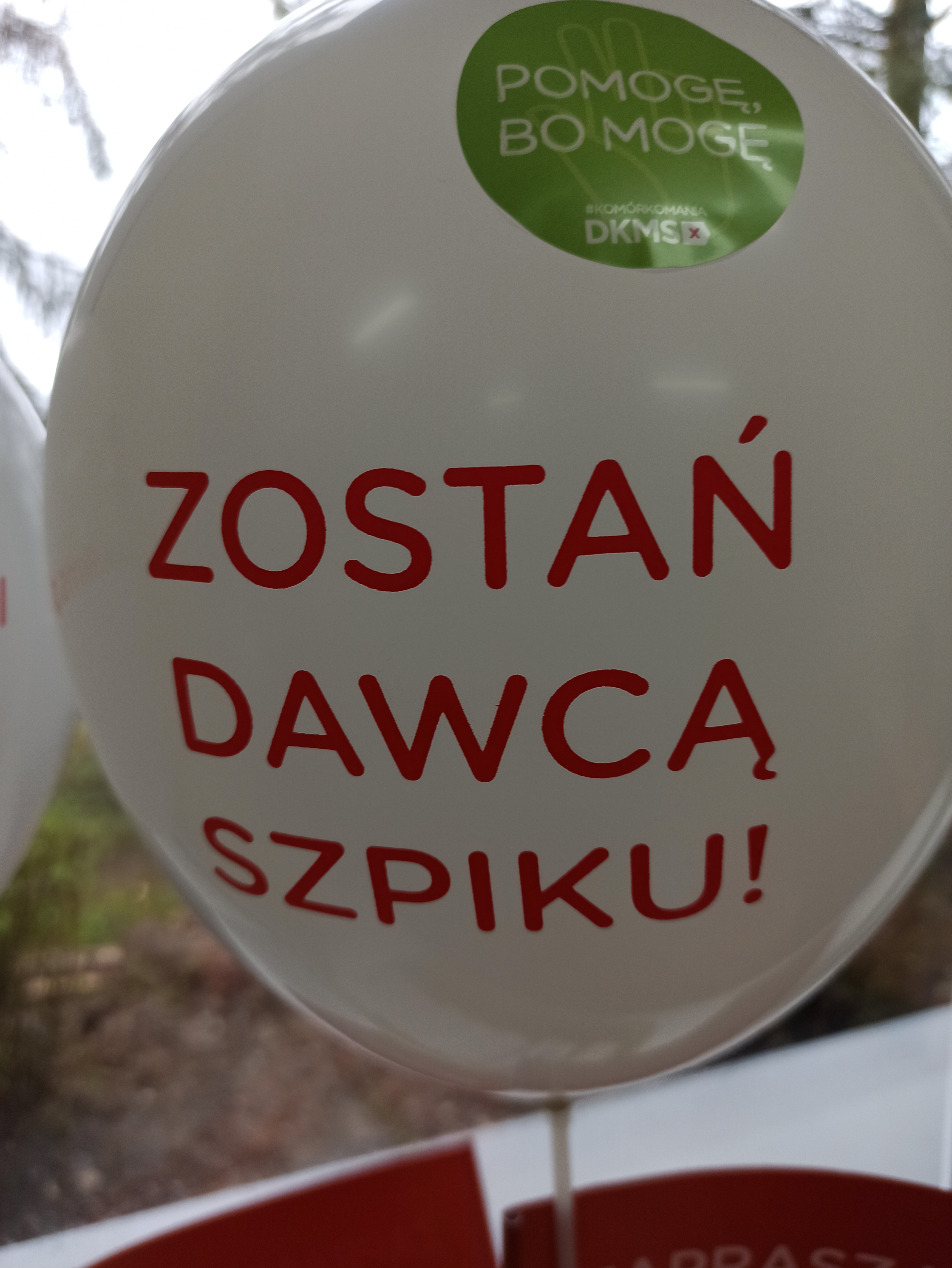 Zdjęcie 4
