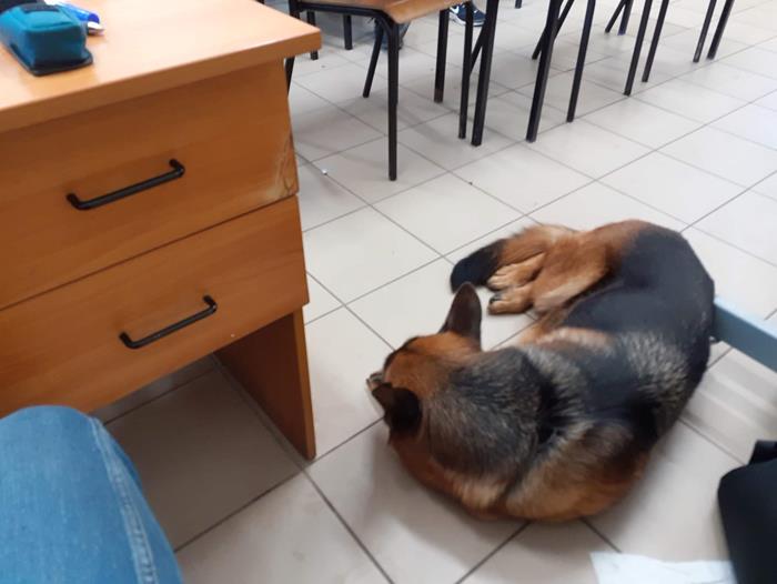 Zdjęcie 15