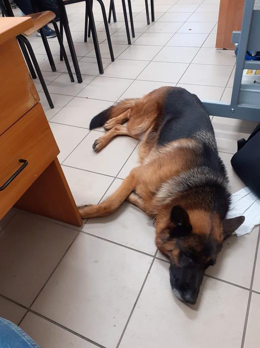 Zdjęcie 19