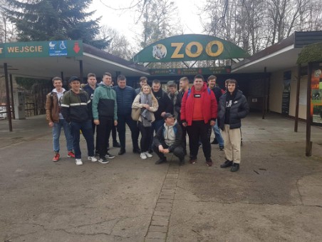 Zdjęcie 10