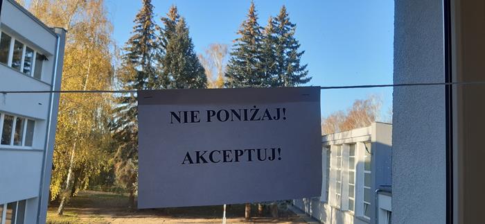 Zdjęcie 6