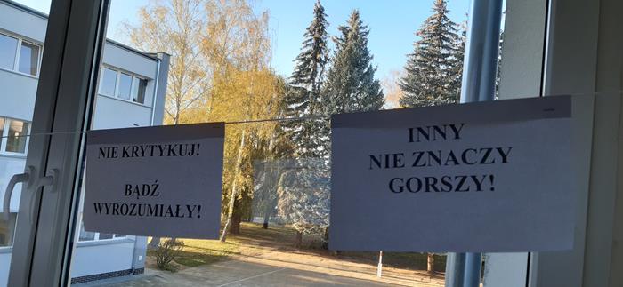 Zdjęcie 11