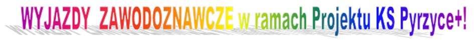 Trzeci wyjazd zawodoznawczy w ramach KS Pyrzyce+