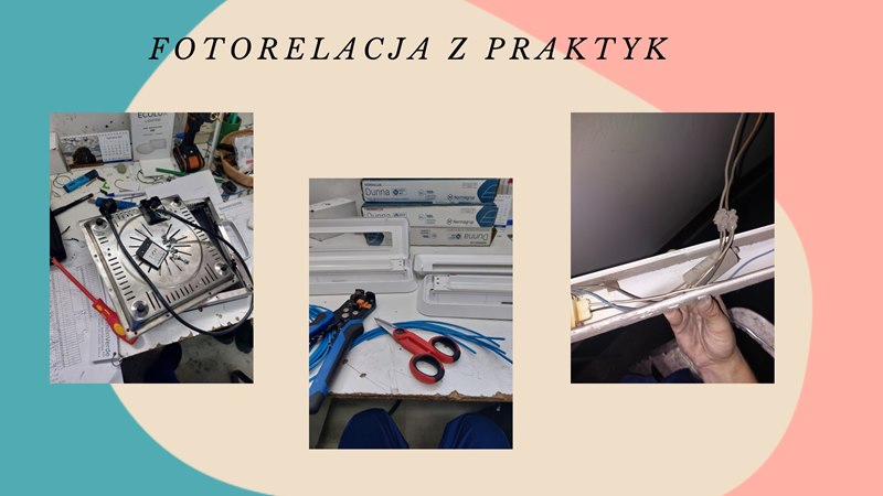 Zdjęcie 14