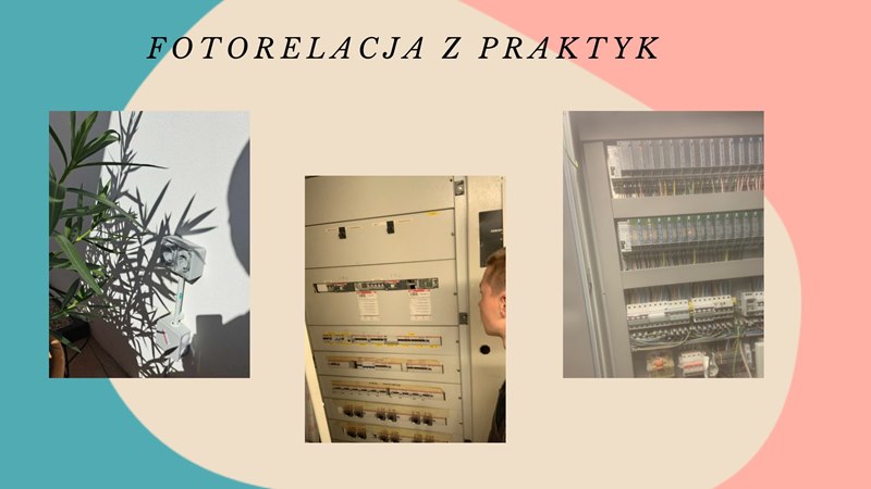 Zdjęcie 19