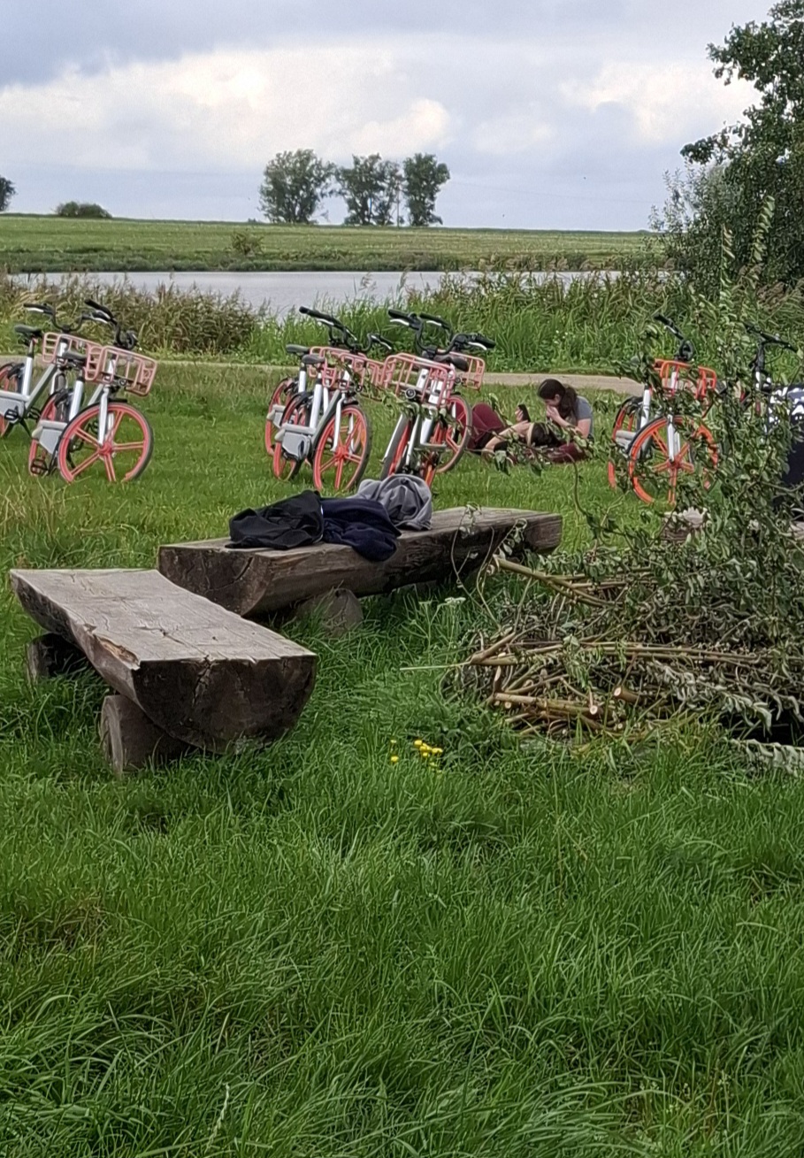 Zdjęcie 5