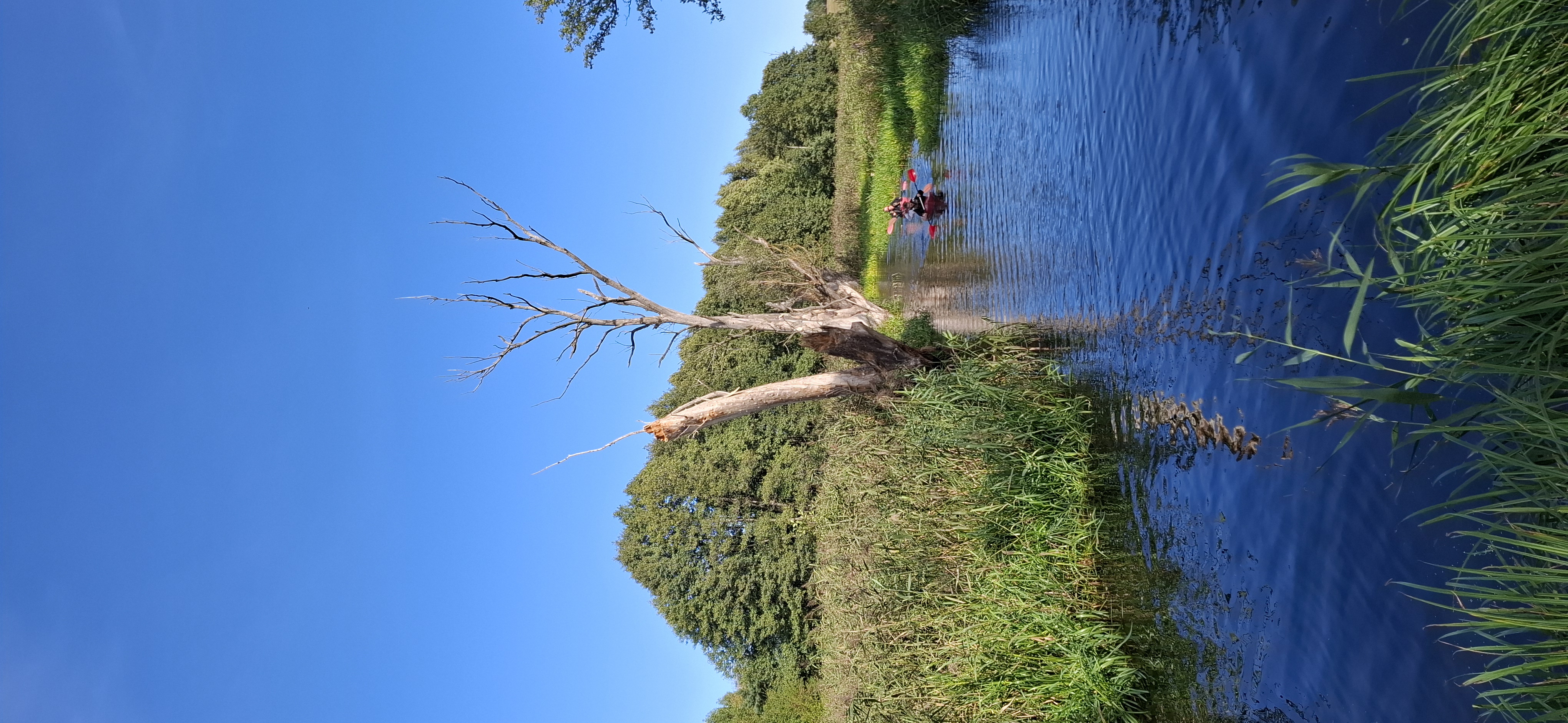 Zdjęcie 4