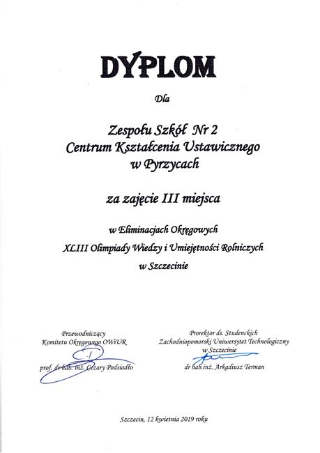 Zdjęcie 13